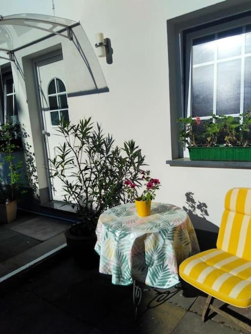 Apartment Urlaub Am Rhein, Mit Garten *