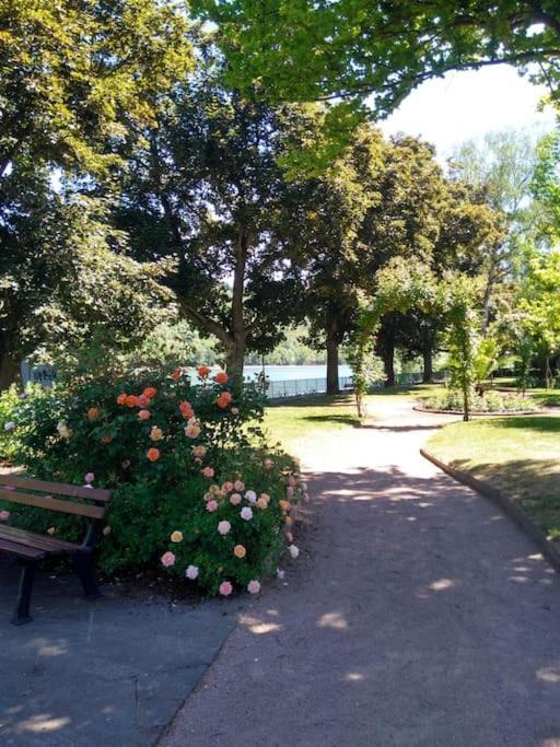 Urlaub Am Rhein, Mit Garten Apartment *