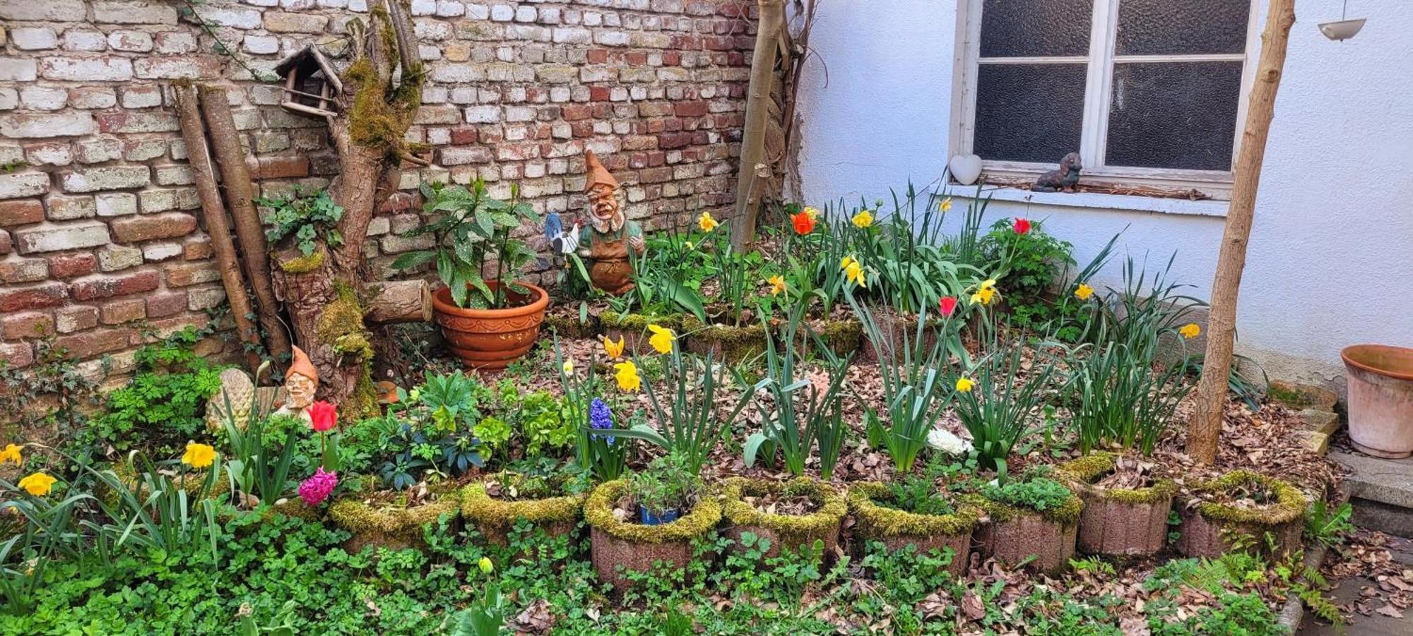 Urlaub Am Rhein, Mit Garten *