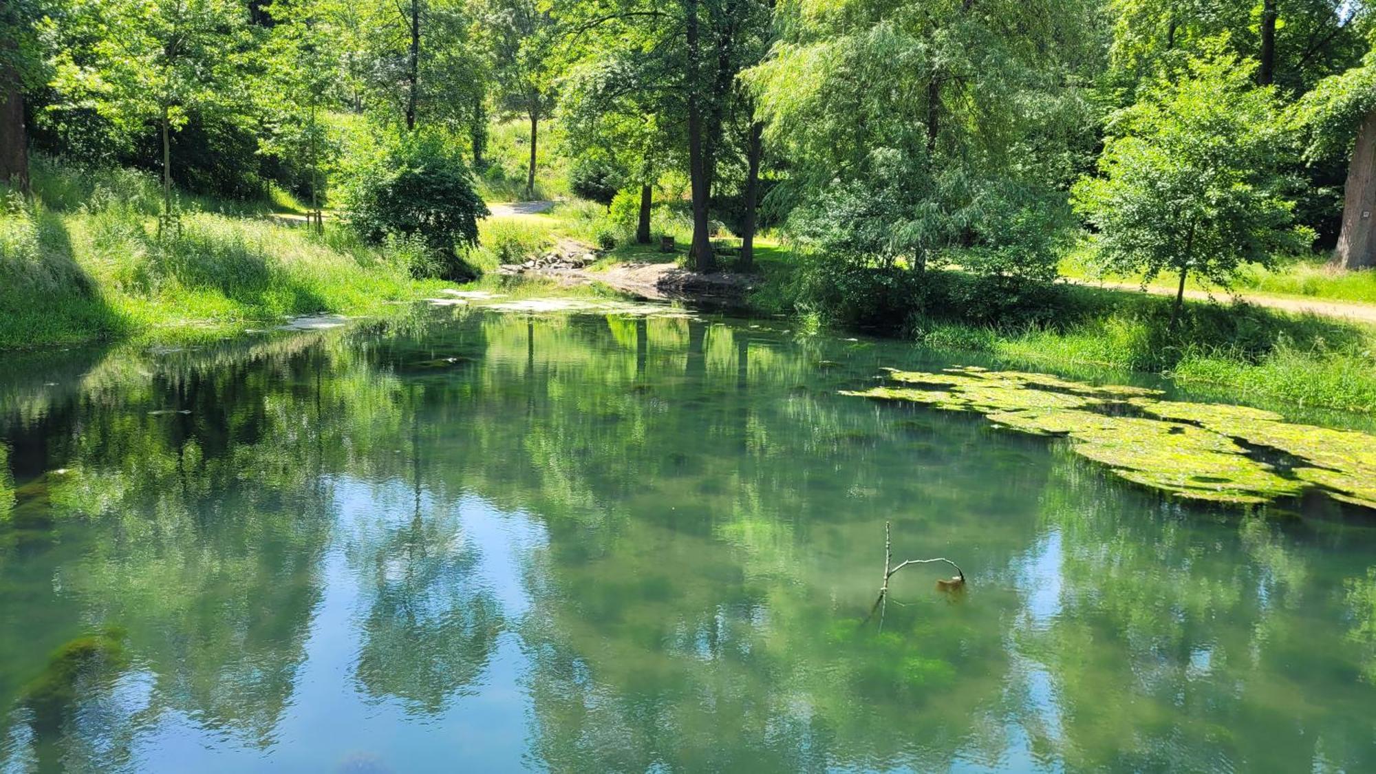 Urlaub Am Rhein, Mit Garten