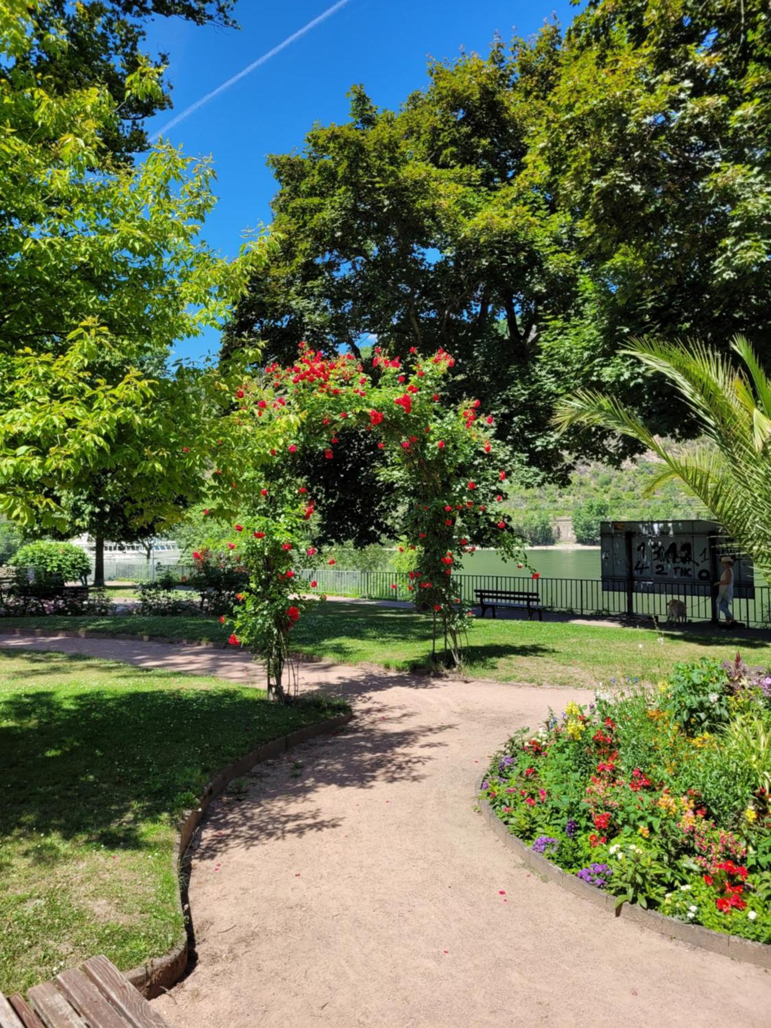 Urlaub Am Rhein, Mit Garten Boppard